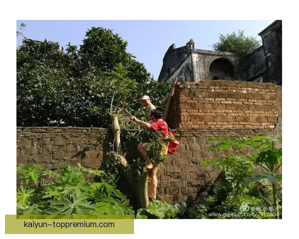 Foden 在 4-3-3 阵型中的角色与表现分析